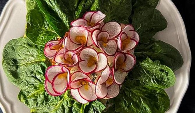 Салат из букета. Путеводитель по съедобным цветам с рецептами | Аргументы и Факты