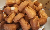 Печенье грибочки в форме на газу старое из СССР