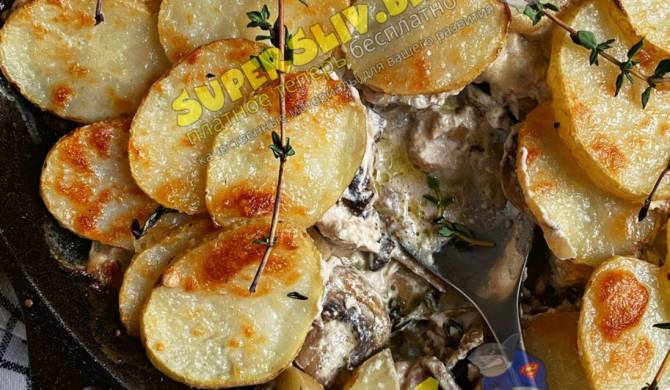 Картофельная запеканка с курицей и грибным соусом рецепт