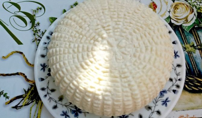 Адыгейский сыр из молока в домашних условиях рецепт