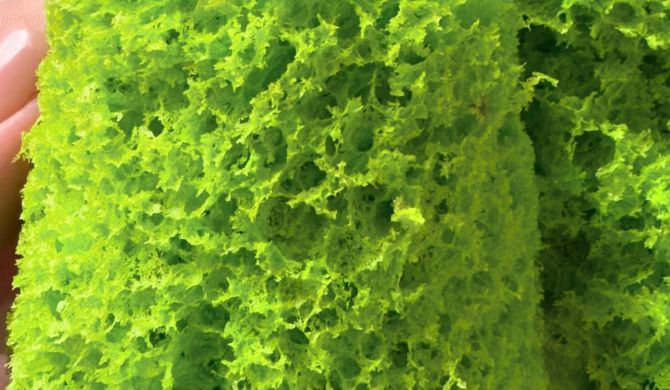 Молекулярный зеленый мох в микроволновке для торта рецепт