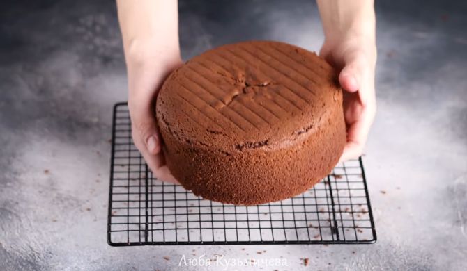 Шифоновый шоколадный бисквит для торта пышный рецепт