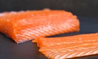Малосольная красная рыба семга (лосось, форель)